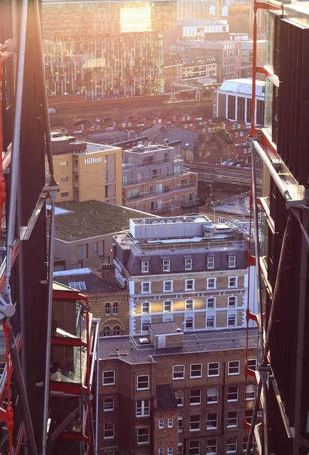 Birdseye