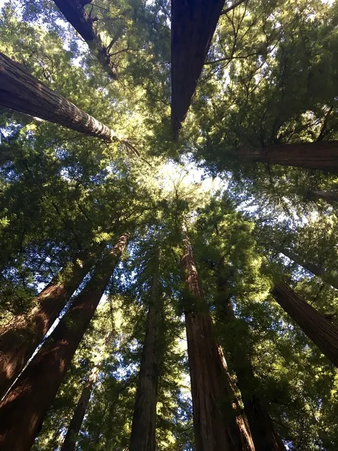 01-7